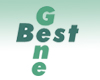 Best Gene Inc